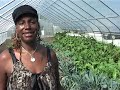 Growing Home: Stories from the Green Collar Economy