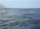 Avistamiento de delfines (Stenella attenuata) por GRIMMA