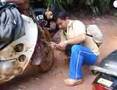Secebis Langkah ke SK Pulat (shahriman)