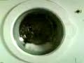Balay 3TE-737C Self Clean