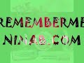 nina b im my own fan / lil wayne carter 3 amillie remix