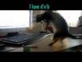videos de dancing surok.wmv