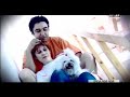 Vita de vie - Imi Pasa