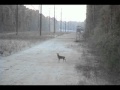 Zobacz Video