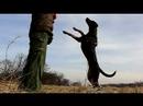 slovenske-kopovi-v-obore2.html