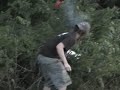M80 Demo