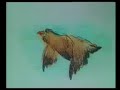 Cобака (Dog)