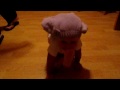 videos de Elephant Minnie crawling in camping cabin