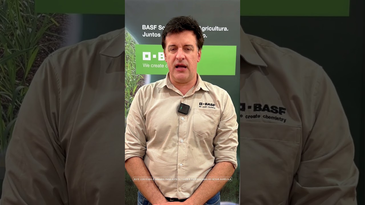 A produtividade do canavial começa antes mesmo da emergência.