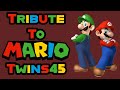 tribute to mariotwins45