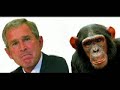 The Evil Monkey a.k.a. George Bush The Evil Monkey a.k.a. George Bush