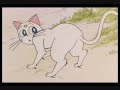 sailor moon romance ep 79 2/2 español mx