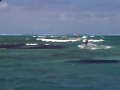 Ian Kitesurfing in Mauritius.mp4 - 03-03