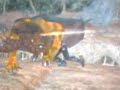 ninja gaiden(maestro ninja)3