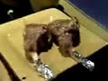 ???? ???? Testing video