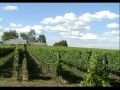 Antigua Bodega Stagnari - Portugues
