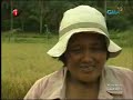 Hindi Ito Bastos (5)