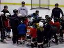 House Mites Practice House Mites Practice