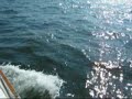 Motu Sailing Motu Sailing