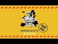 Roxorloops - Belgium @ Beatbox Battle Convention 2008