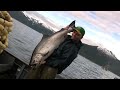 S.E. Alaska Fishing Season \