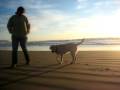 videos de Bogart Goes to Cayucos Part 2