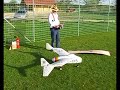 RC jet model Blohm&Voss BV P215, tailless, Nurfluegel