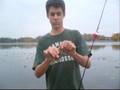 Fishing for Panfish
