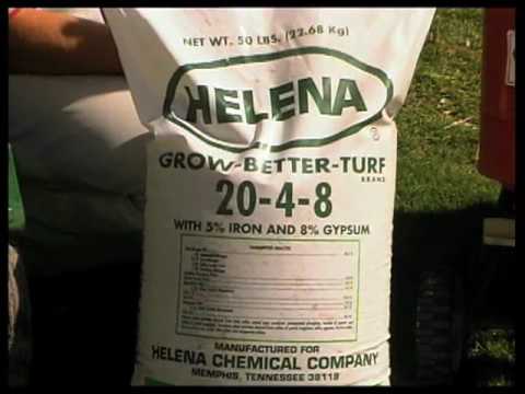 how to fertilize hybrid bermuda