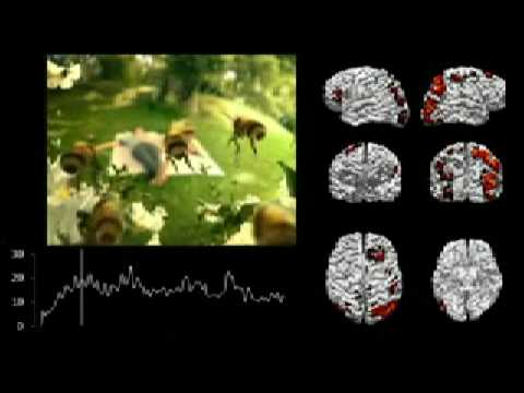 Imagen de previsualización de YouTube
