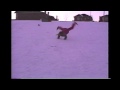 Lila and Aurora Tumble.mov