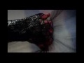 spider remix..