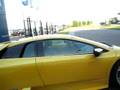 Lamborghini Murcielago!