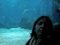 Oceanario Lisboa Oceanario Lisboa