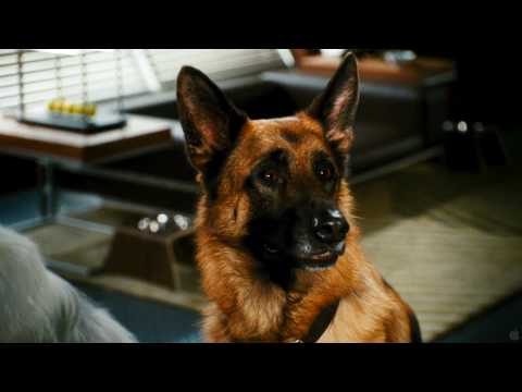 Como Perros y Gatos 2: La Venganza De Kitty Galore - Trailer Latino - Full HD