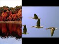 Piękno Jesieni.wmv