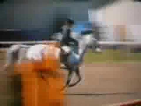 All The Pretty Horses