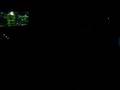 videos de stifflerfish