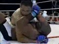 MINOTAURO VS SAPP