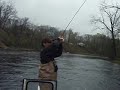 Muskegon river steelhead-KG