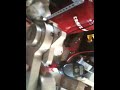 Procharger noise