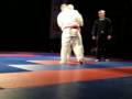 videos de IX Polish Open Kyokushinkai Tournament Gliwice 2008 Finale Senior