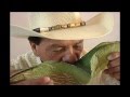 En Perote rescatan la técnica, arte y cultura del Pulque