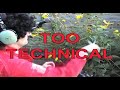 Harmonic Gardening for the Environment Harmonic Gardening for the Environment