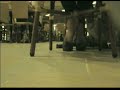 Free clip of the month - November \ Free clip of the month - November \
