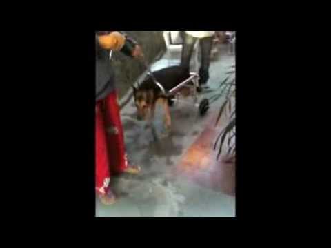 Guarda il video >> Guarda il video >>
