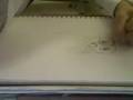 videos de Pottercast Vlog love--drawing owls