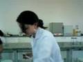 Aula bioquimica
