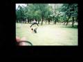 See You Around - Lomo Matrix effect