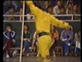 Wushu Hu Jian Qiang